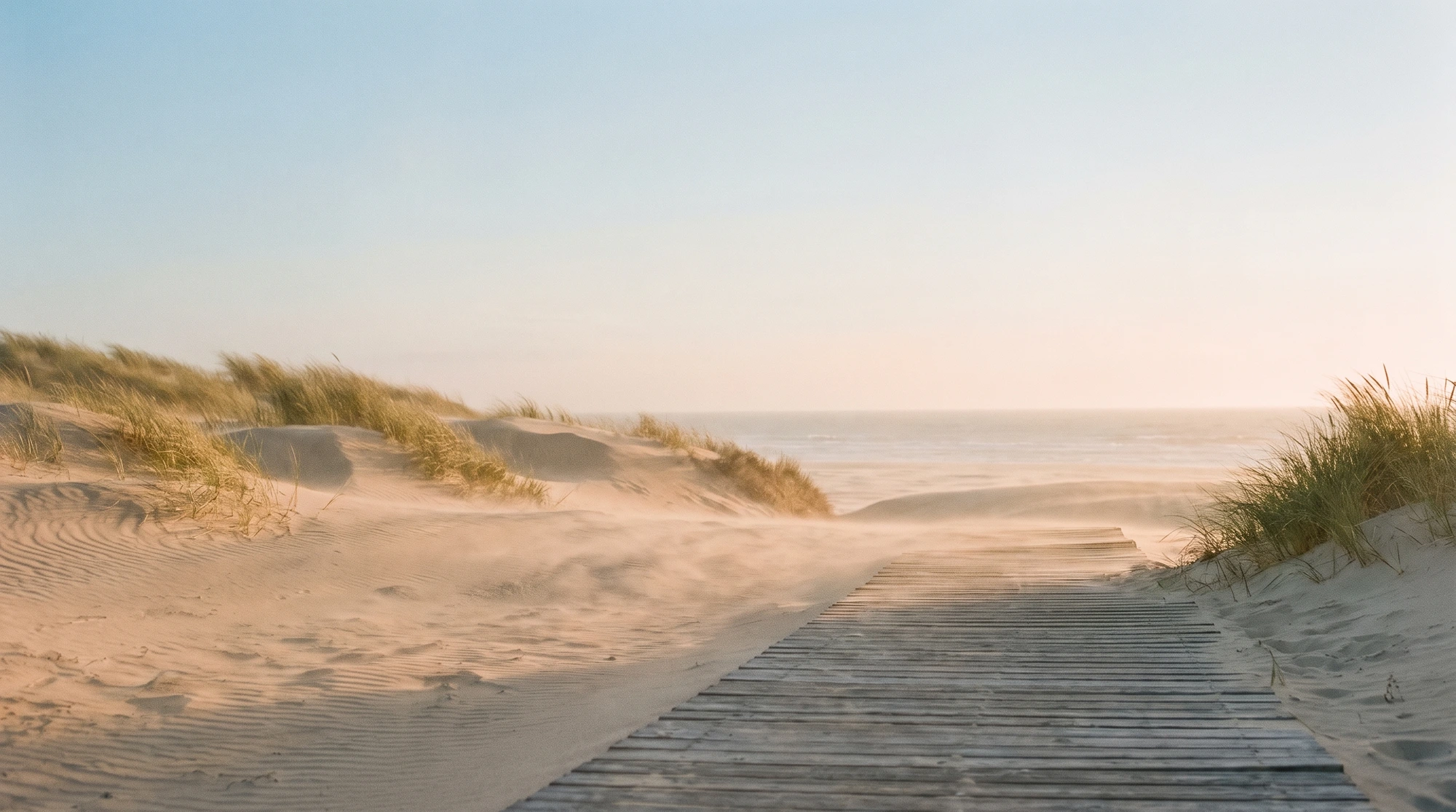 A wooden boardwalk winding through calm sand dunes to the sea at golden hour